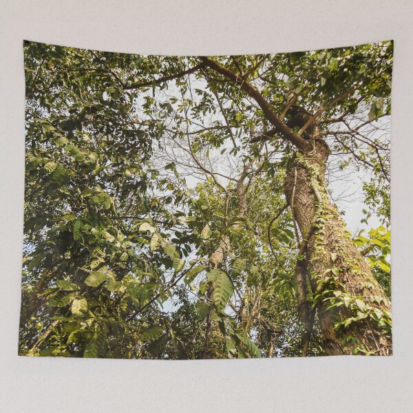 Item preview, in the middle of the rainforest designed and sold by felipequeiroz.
