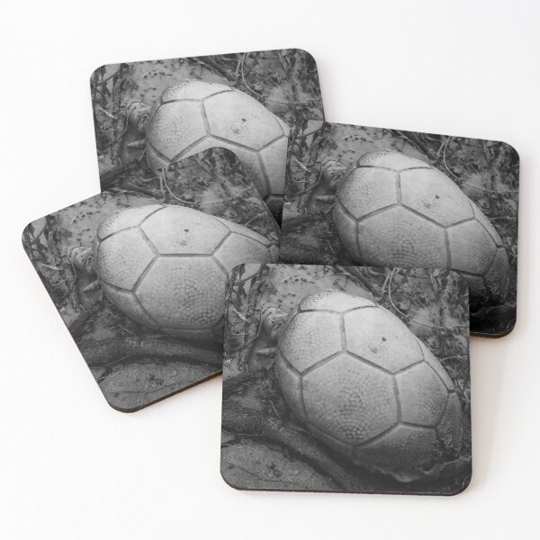 Item preview, An old dry ball designed and sold by felipequeiroz.