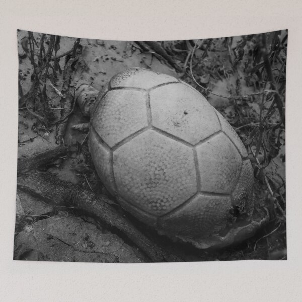 Item preview, An old dry ball designed and sold by felipequeiroz.