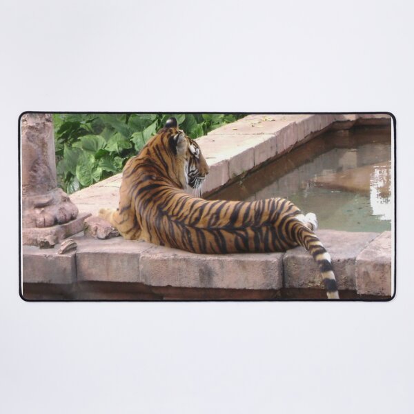Item preview, Tiger Chill designed and sold by TCBerry82.