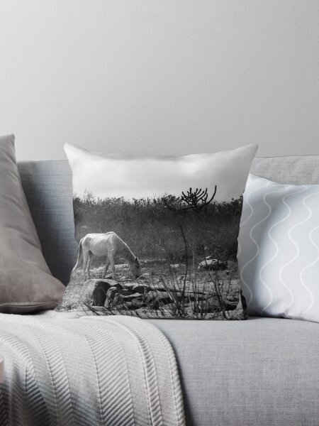 A white horse in the pond Throw Pillow