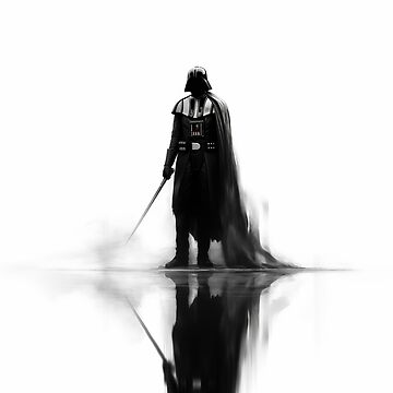 Imagen de la obra señor vader de Nice En