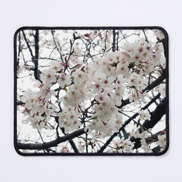 Artikelvorschau, Sakura entworfen und verkauft von Serene-Hue-Code.