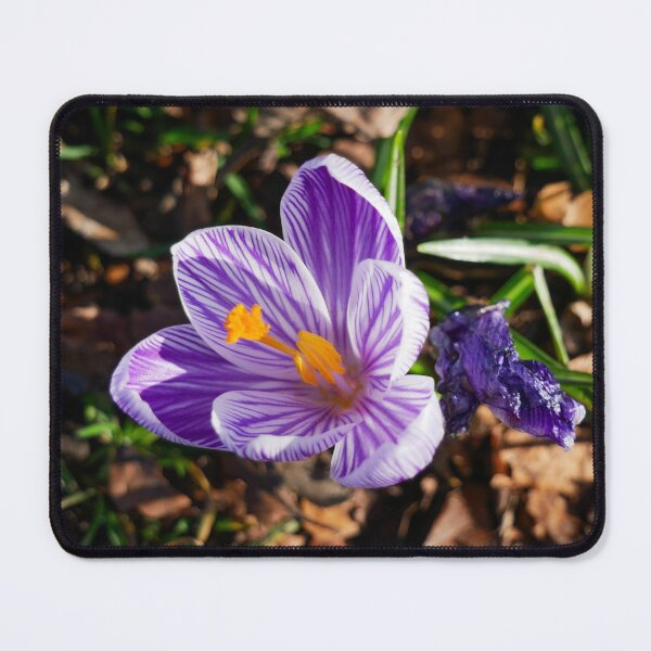 Item preview, Patterns on Petals in Spring designed and sold by sarahhillphotos.