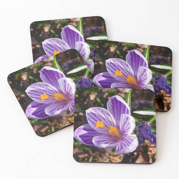 Item preview, Patterns on Petals in Spring designed and sold by sarahhillphotos.