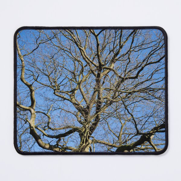 Item preview, Bare Branches on a Clear Day designed and sold by sarahhillphotos.