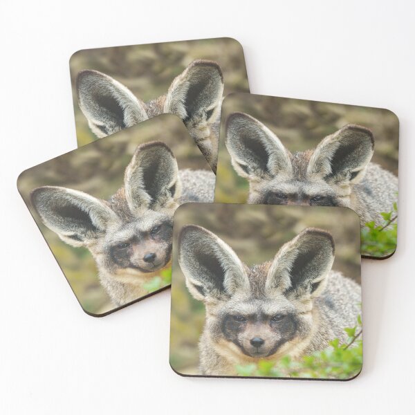 Item preview, Whispers of the Night: Bat-Eared Fox designed and sold by rawshutterbug.