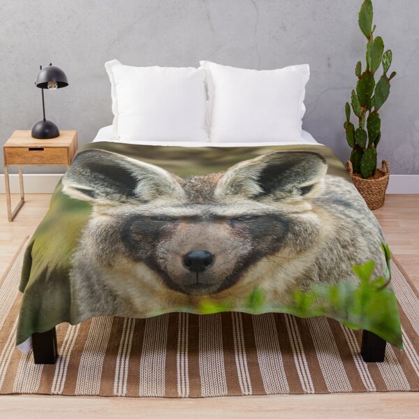 Item preview, Whispers of the Night: Bat-Eared Fox designed and sold by rawshutterbug.