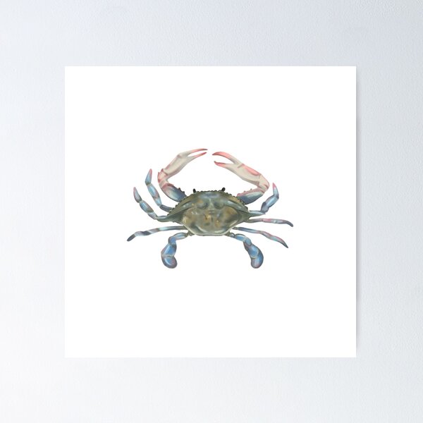 Item preview, Crab designed and sold by AnyaYasinska.