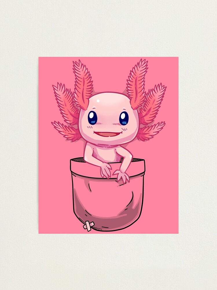 Pocket Cute Axolotl Photographic Print By Techranova Redbubble