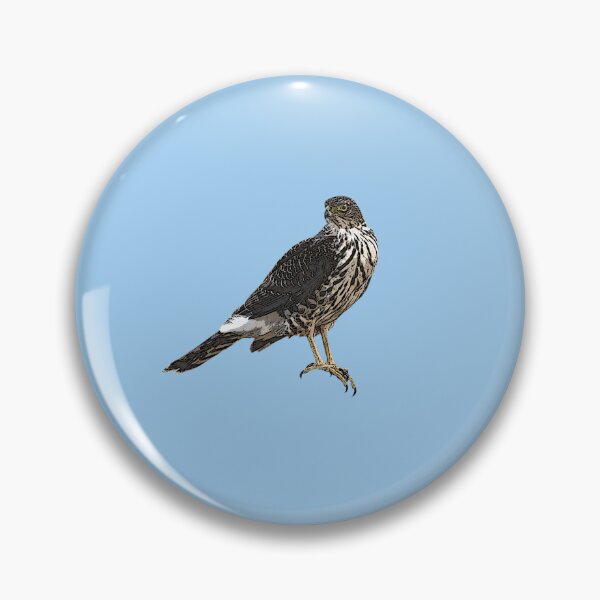 Item preview, Chilean Hawk Color Design  designed and sold by designsasstultd.