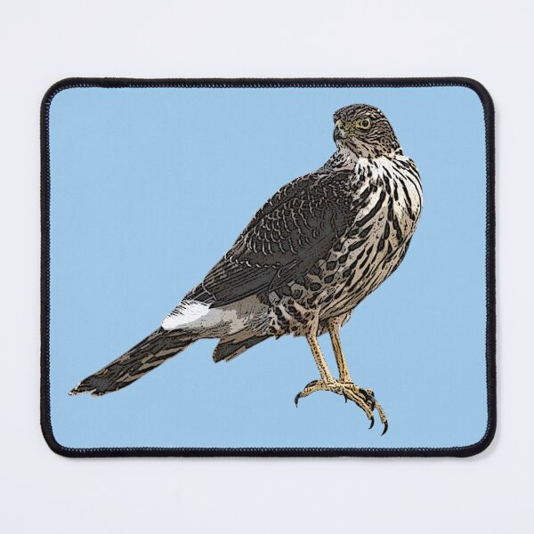 Item preview, Chilean Hawk Color Design  designed and sold by designsasstultd.