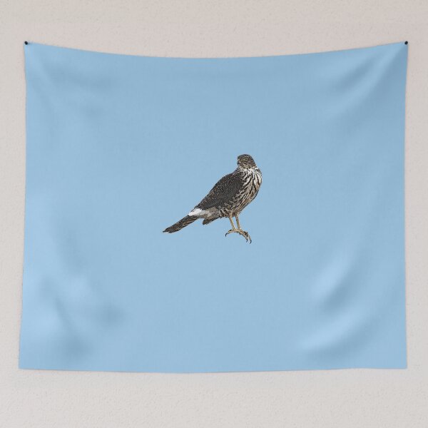 Item preview, Chilean Hawk Color Design  designed and sold by designsasstultd.
