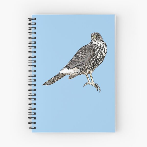 Item preview, Chilean Hawk Black Alternate Design  designed and sold by designsasstultd.