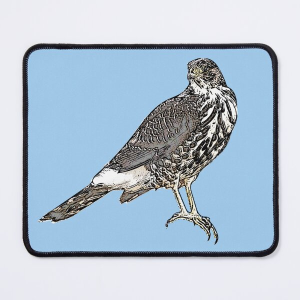 Item preview, Chilean Hawk Black Alternate Design  designed and sold by designsasstultd.