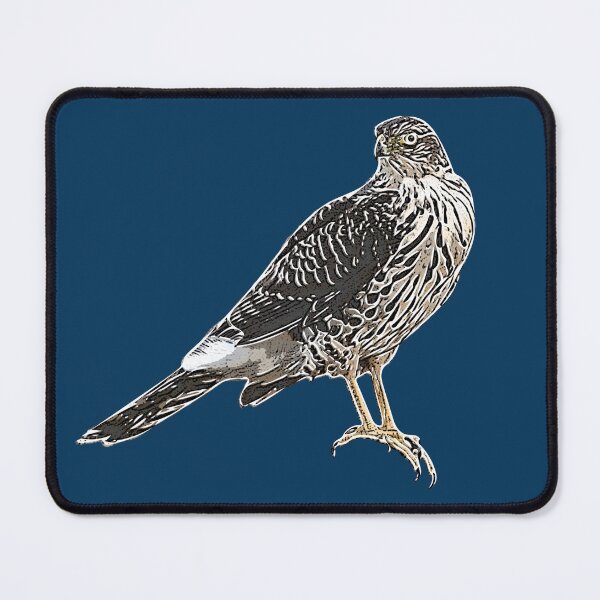 Item preview, Chilean Hawk White Alternate Design  designed and sold by designsasstultd.