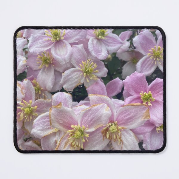 Item preview, Clematis designed and sold by Violaman.
