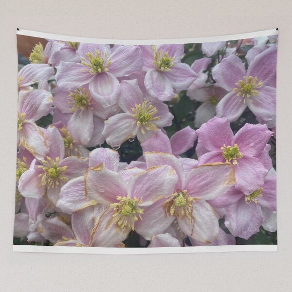 Item preview, Clematis designed and sold by Violaman.