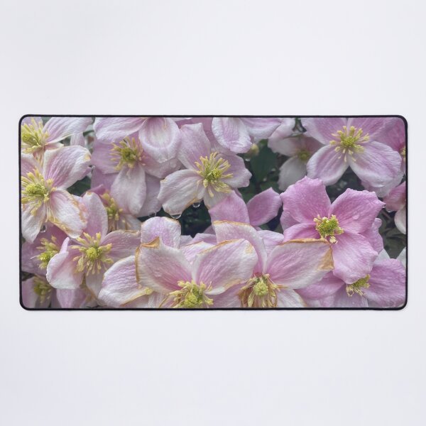 Item preview, Clematis designed and sold by Violaman.