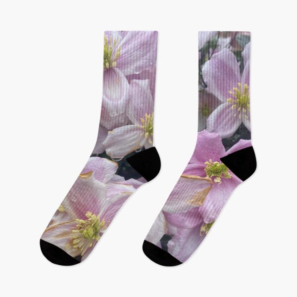 Item preview, Clematis designed and sold by Violaman.