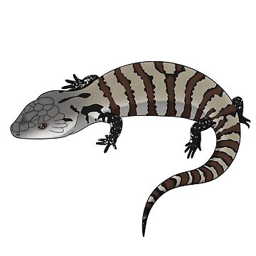 Artwork thumbnail, Blue Tongue Skink by HauntedHerps
