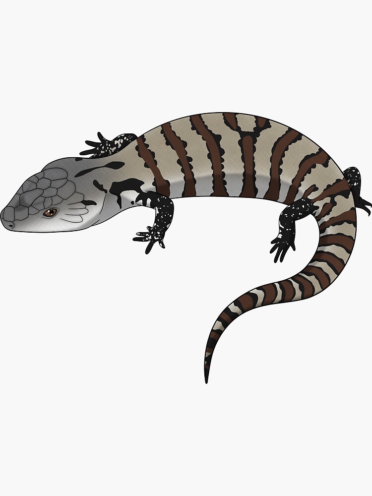 Thumbnail 3 of 3, Sticker, Blue Tongue Skink designed and sold by HauntedHerps.