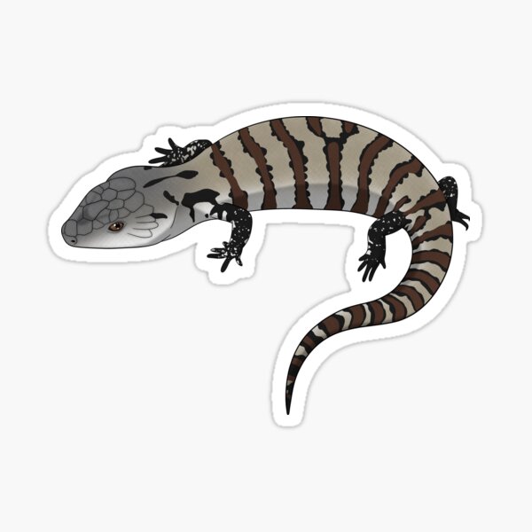 Item preview, Blue Tongue Skink designed and sold by HauntedHerps.