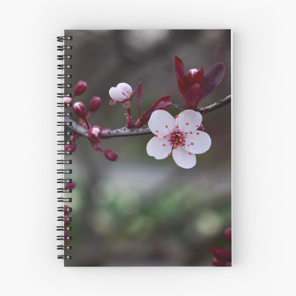 Aperçu de l'œuvre Une fleur créée et vendue par DonnaMariePhoto.