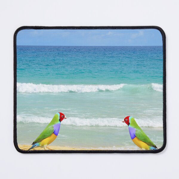 Item preview, Gouldian Finch on Boa Vista Beach in Cape Verde designed and sold by Peter Etchells.
