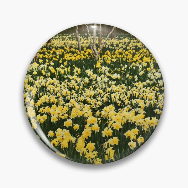 Item preview, Daffodils field... designed and sold by Poete100.