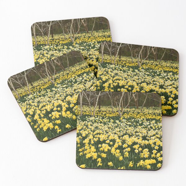 Item preview, Daffodils field... designed and sold by Poete100.
