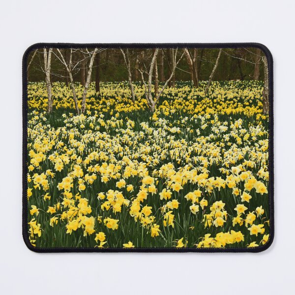 Item preview, Daffodils field... designed and sold by Poete100.