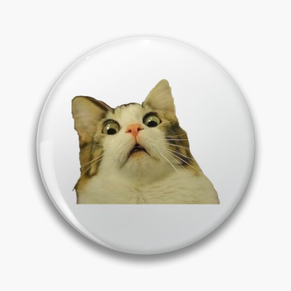 Item preview, Funny Cat shocked Meme #2 designed and sold by thesnakeater.