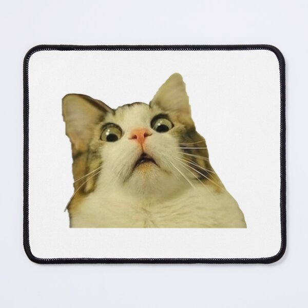 Item preview, Funny Cat shocked Meme #2 designed and sold by thesnakeater.