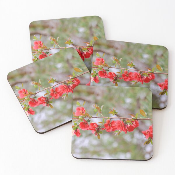Item preview, Blooming Spring designed and sold by Falln.
