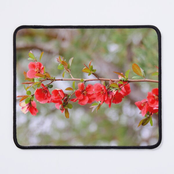 Item preview, Blooming Spring designed and sold by Falln.