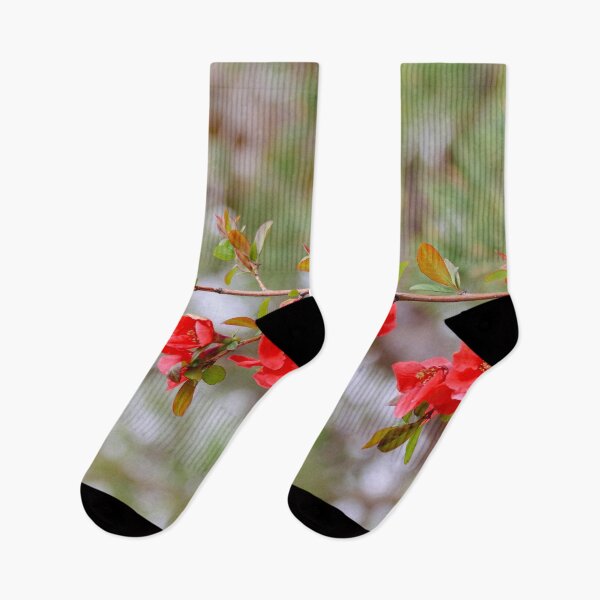 Item preview, Blooming Spring designed and sold by Falln.