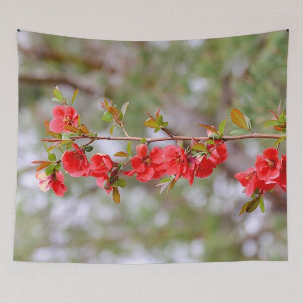 Item preview, Blooming Spring designed and sold by Falln.
