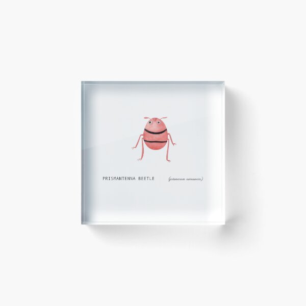 Item preview, Prismantenna Beetle (prismarum antennata) designed and sold by WhiskerWish.