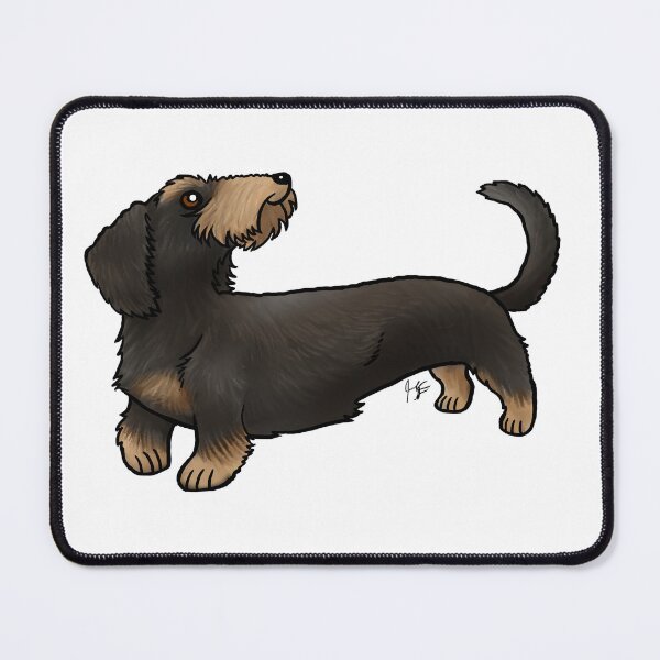 Item preview, Wire Haired Dachshund - Black and Tan designed and sold by Jennifer Stolzer.