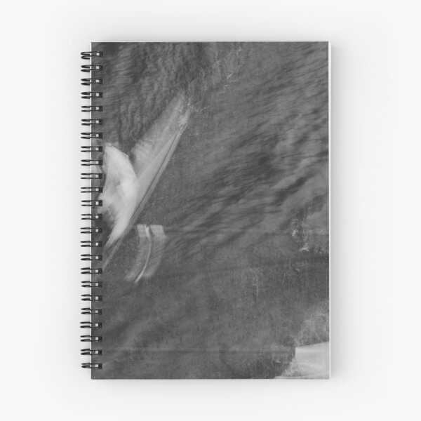 Item preview, Stroke Pair and Coxswain designed and sold by LauraZim.