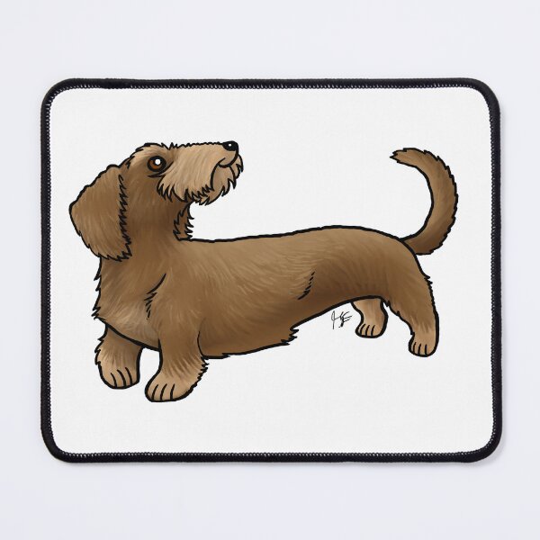 Item preview, Wire Haired Dachshund - Red and Tan designed and sold by Jennifer Stolzer.