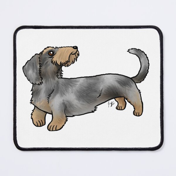 Item preview, Wire Haired Dachshund - Dapple designed and sold by Jennifer Stolzer.