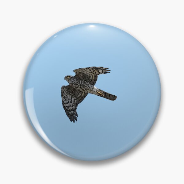 Item preview, Eurasian Sparrowhawk Color Design  designed and sold by designsasstultd.