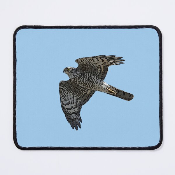 Item preview, Eurasian Sparrowhawk Color Design  designed and sold by designsasstultd.