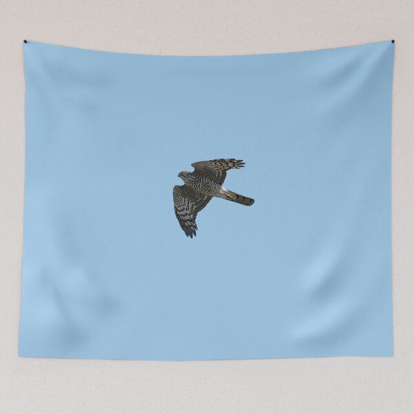Item preview, Eurasian Sparrowhawk Color Design  designed and sold by designsasstultd.