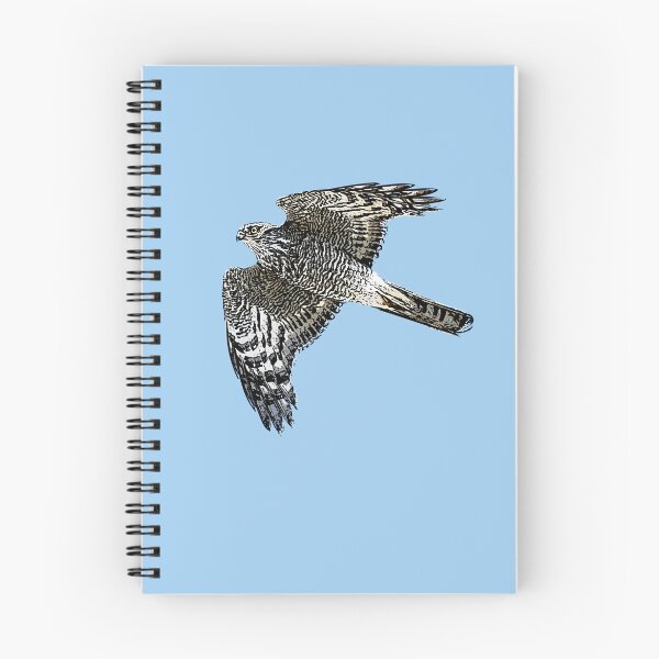 Item preview, Eurasian Sparrowhawk Black Alernate Design  designed and sold by designsasstultd.