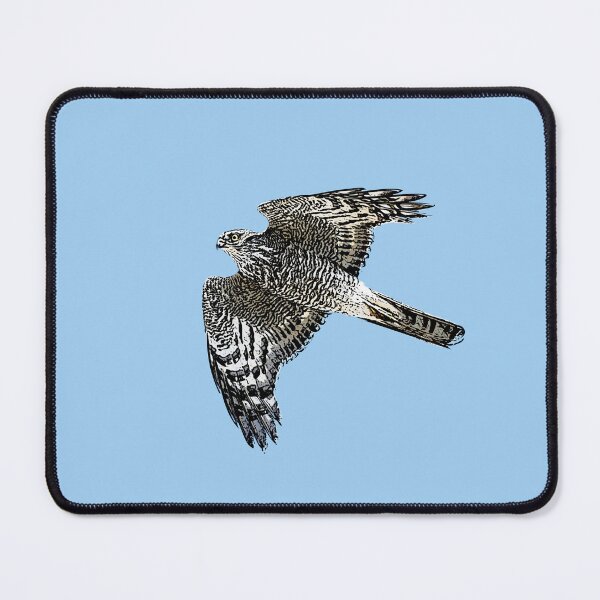 Item preview, Eurasian Sparrowhawk Black Alernate Design designed and sold by designsasstultd.
