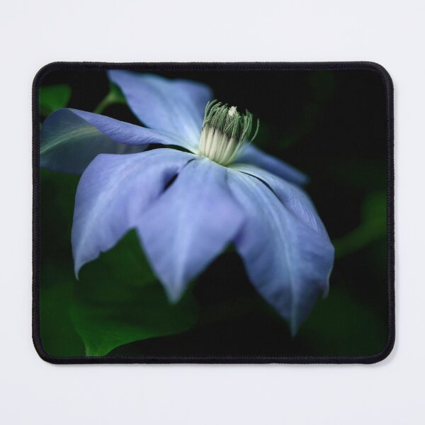 Item preview, Clematis designed and sold by Tom McPherson Photography.