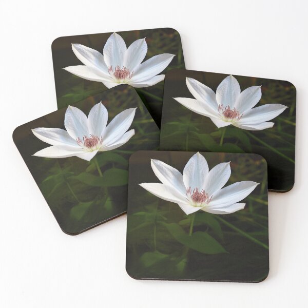 Item preview, Clematis designed and sold by Tom McPherson Photography.